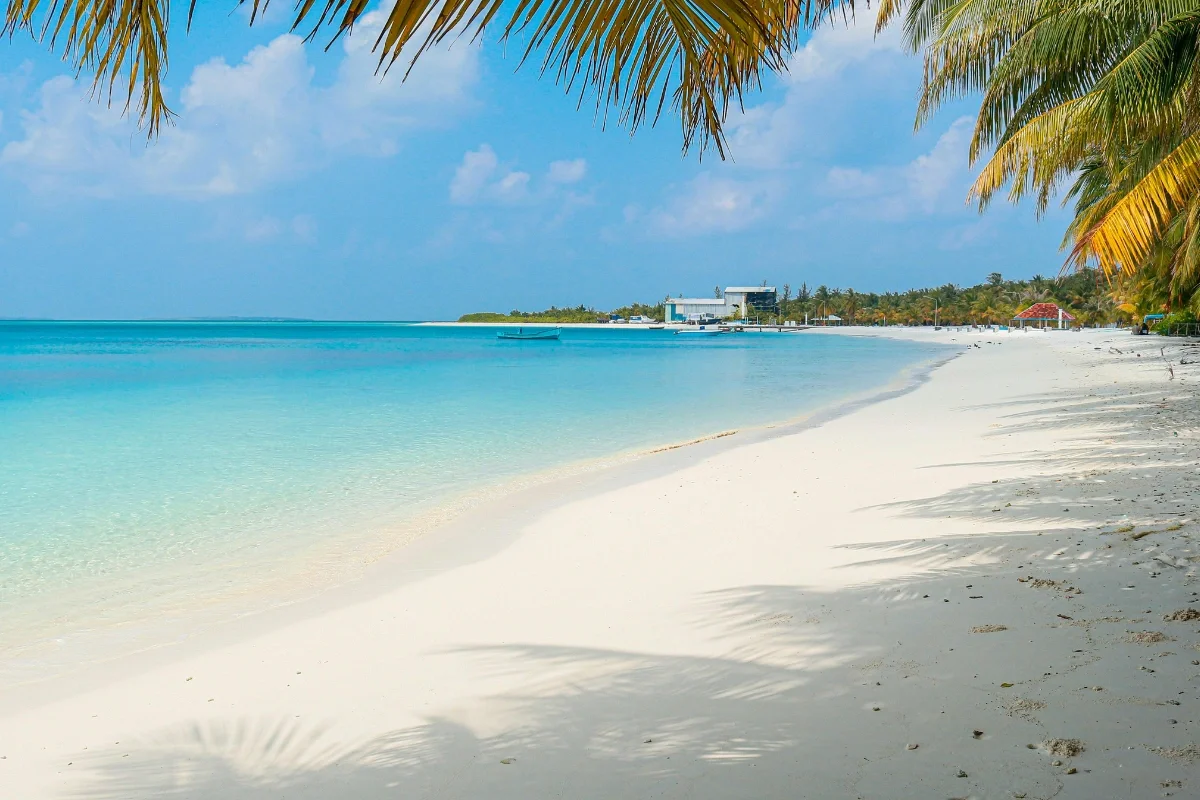 Best Time to Visit Jimbaran Beach: Complete Visitor Guide 2026