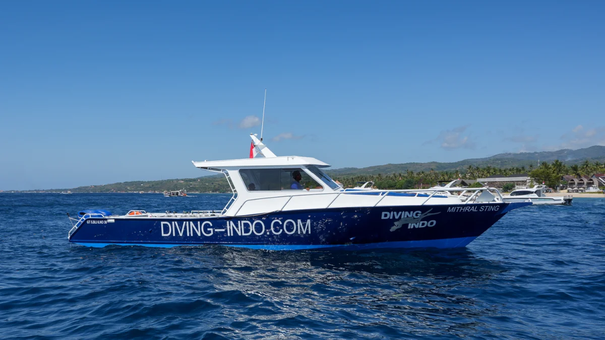 Keinara - Snorkeling & Fun Fishing Package